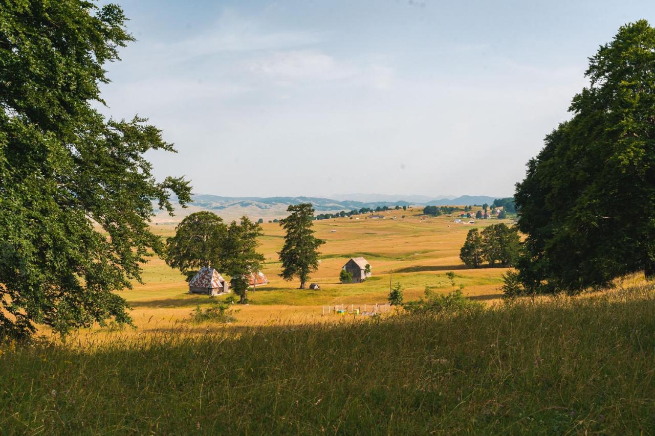 Villa Highlander'S House Žabljak Esterno foto