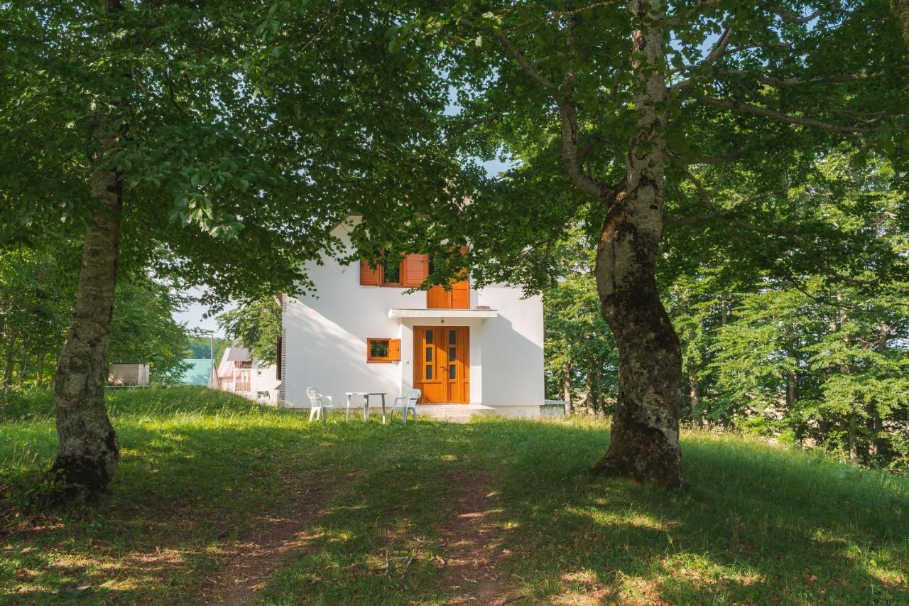Villa Highlander'S House Žabljak Esterno foto